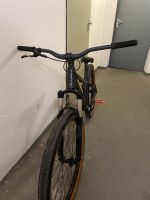 Dirtbike Kellys bike whip 30 Wandsbek - Steilshoop Vorschau