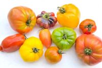50 Cent,diverse Tomatensorten,Auberginen,Kürbisse Baden-Württemberg - Renchen Vorschau