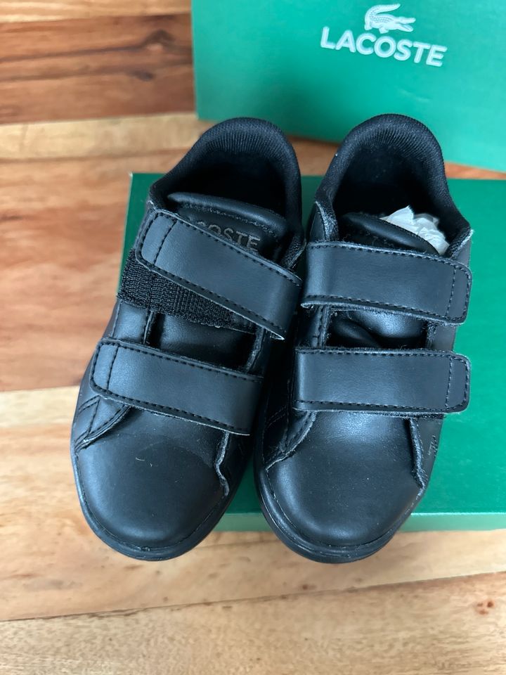 Lacoste Schuhe Jungen 25 in Hagen