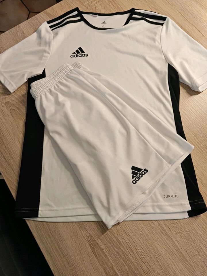 Adidas Set  gr. 164, T-Shirt+Shorts in Alsdorf