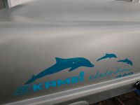 KAMEI DACHBOX Delphin 460 + Reling Nordrhein-Westfalen - Kreuztal Vorschau