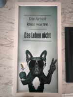 Bild Hund Die Arbeit kann warten Baden-Württemberg - Leonberg Vorschau