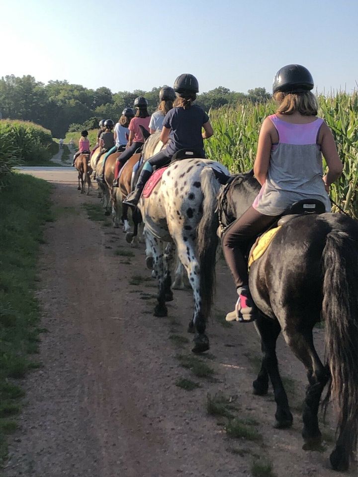 Reiterferien-Reitcamp am Kaiserstuhl in Wyhl