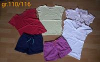 4 St T-Shirt + 2 St  Kurzhose gr.110/116 Baden-Württemberg - Pforzheim Vorschau