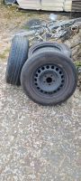 195/65r15 sommerreifen  vw opel skoda audi Brandenburg - Rüdersdorf Vorschau