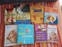 Bücher für Schwangerschaft und Baby's 1. Lebensjahr Sachsen - Zeithain Vorschau