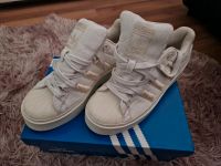 Adidas Bonega Sneaker 40 Sachsen-Anhalt - Hohe Börde Vorschau