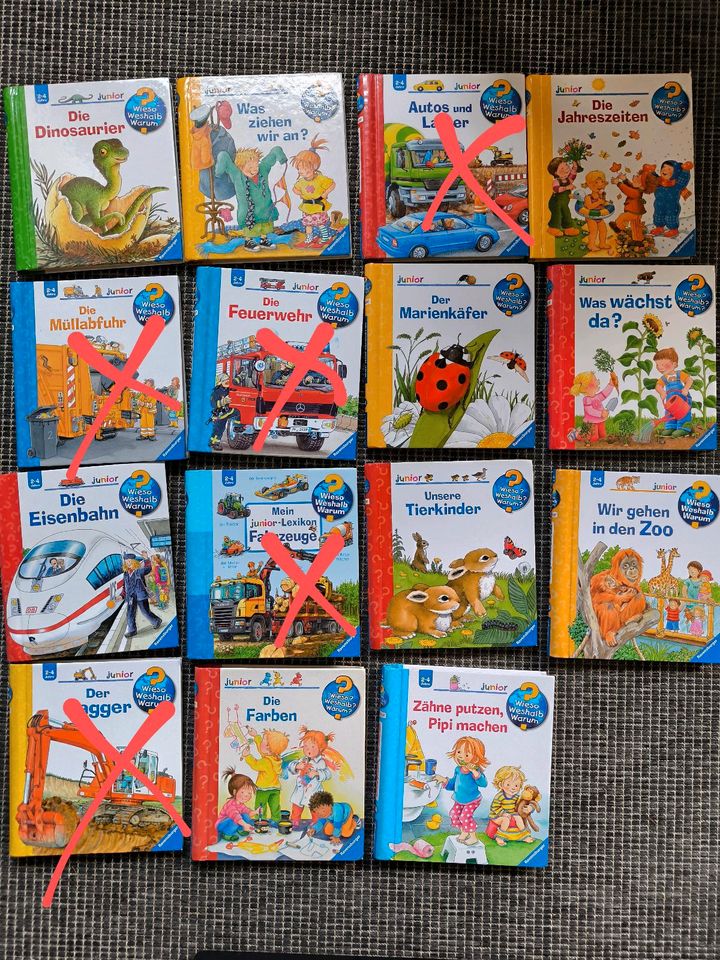 Wieso Weshalb Warum Kinderbücher in Hodenhagen