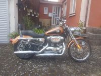 Harley-Davidson XL 1200 C 105 Jahre HD Bayern - Michelau i. OFr. Vorschau