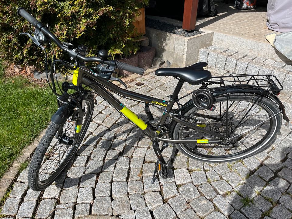 Winora 26er Fahrrad Jungen Dash 26 in Duderstadt