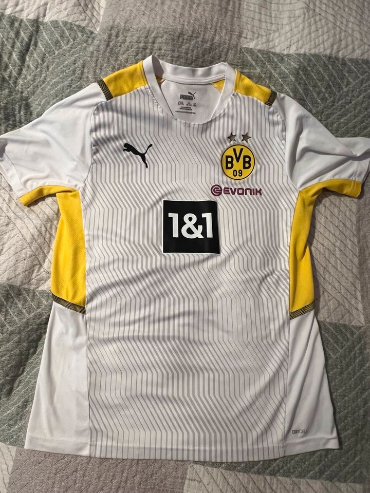BVB Borussia Dortmund original Trainingsshirt/ Trikot in Beelitz