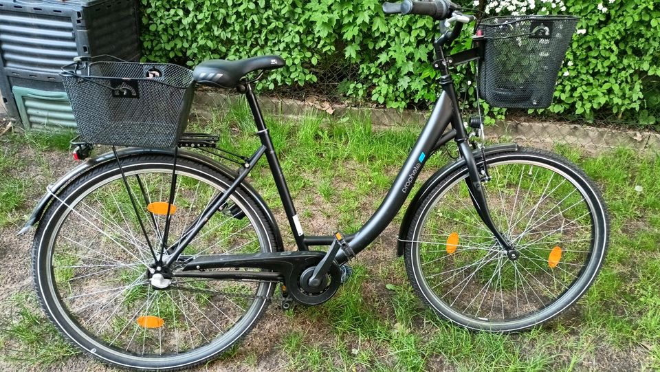 Damen Fahrrad Verkauf in Verden