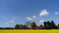 Ferienhaus Friesenaue, Ostfriesland, wo Hunde gerne Urlaub machen Niedersachsen - Westerholt Vorschau