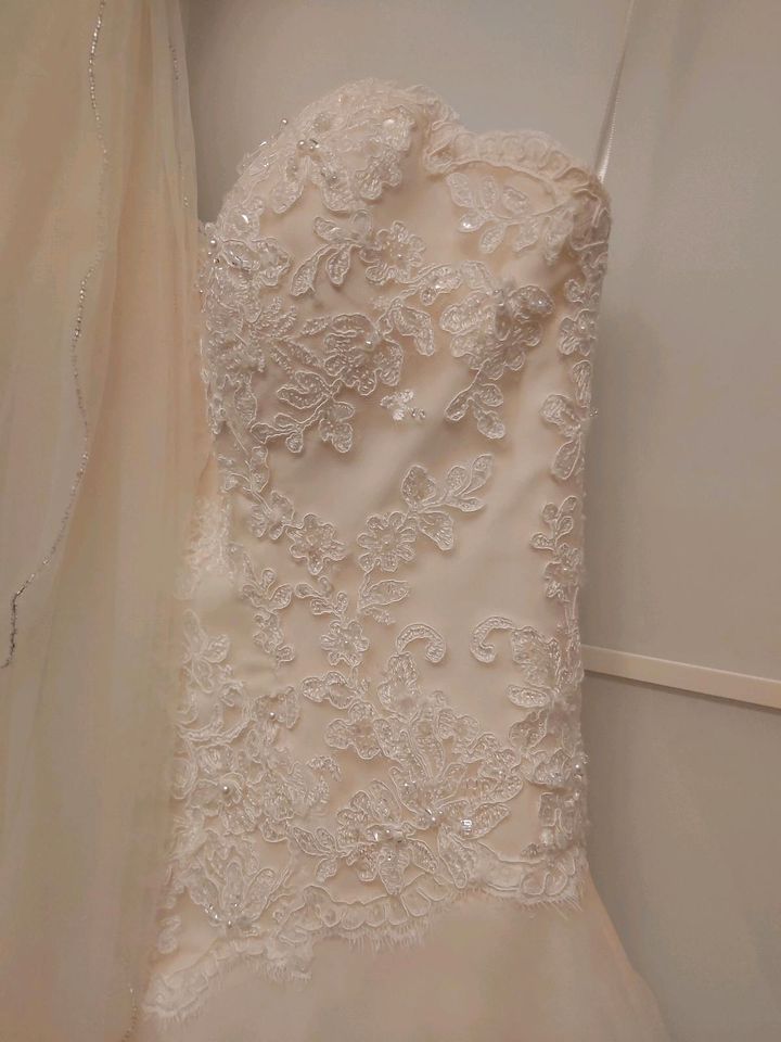 Wunderschönes Brautkleid in Apricot von St. Patrick in Mühlheim am Main