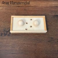 Hamster Intelligenzspielzeug | ab 5€ | Hamsterzubehör | Baden-Württemberg - Freiburg im Breisgau Vorschau