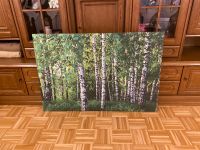 Leinwandbild XXL Natur Wald Bäume 120x80 cm Birken Hessen - Lahntal Vorschau