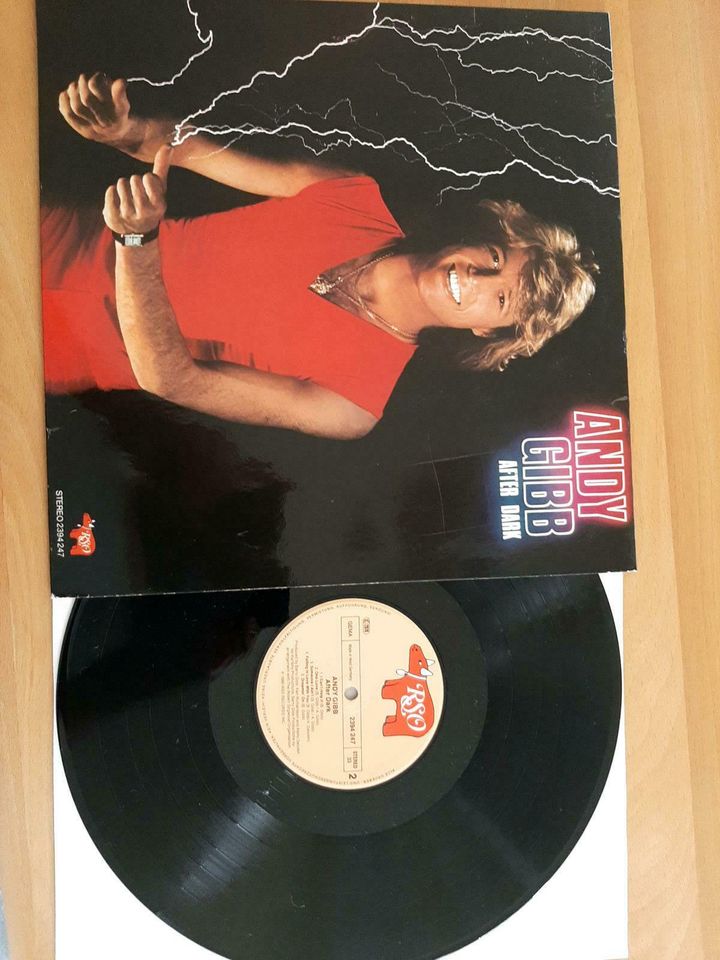 Schallplatte, Vinyl, LP von ANDY GIBB in Theisbergstegen