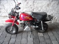 Moped Skygo Thüringen - Buttstädt Vorschau
