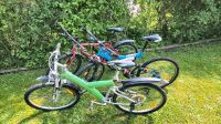 Mountainbike Fahrrad Bulls Raleigh Hessen - Edertal Vorschau