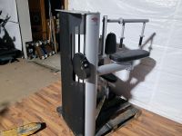 Gym 80 Trizepsmaschine Sygnum Life Fitness Technogym Matrix Bayern - Ergoldsbach Vorschau