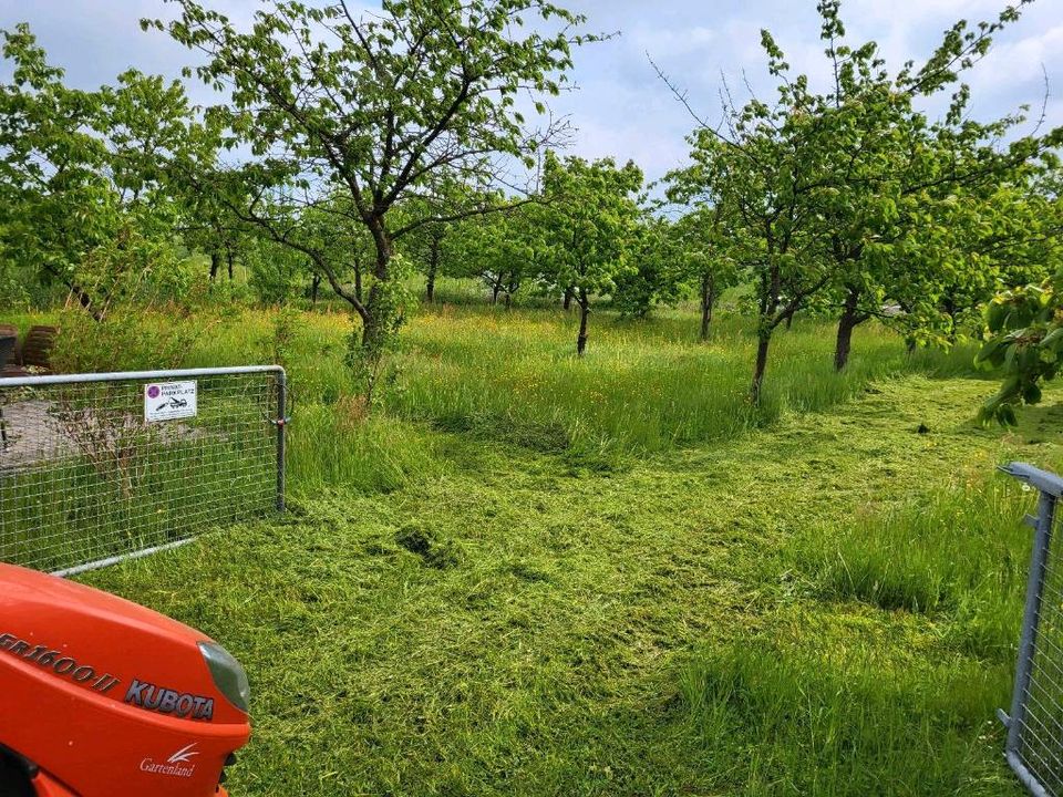 Gartenarbeiten rund um Haus und Hof in Kutenholz