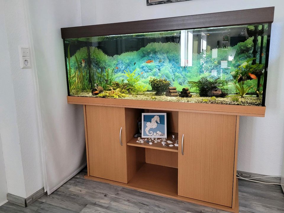 Aquarium Juwel Rio 450 in Salzgitter