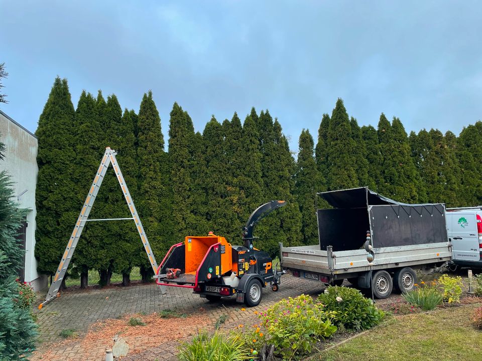 Firma Hölzel - Baum Schnitt, Baum Kronenpflege, Gartenpflege in Leipzig