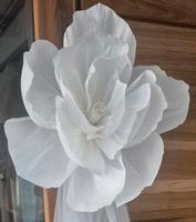 Blumen Deko Niedersachsen - Wolfsburg Vorschau