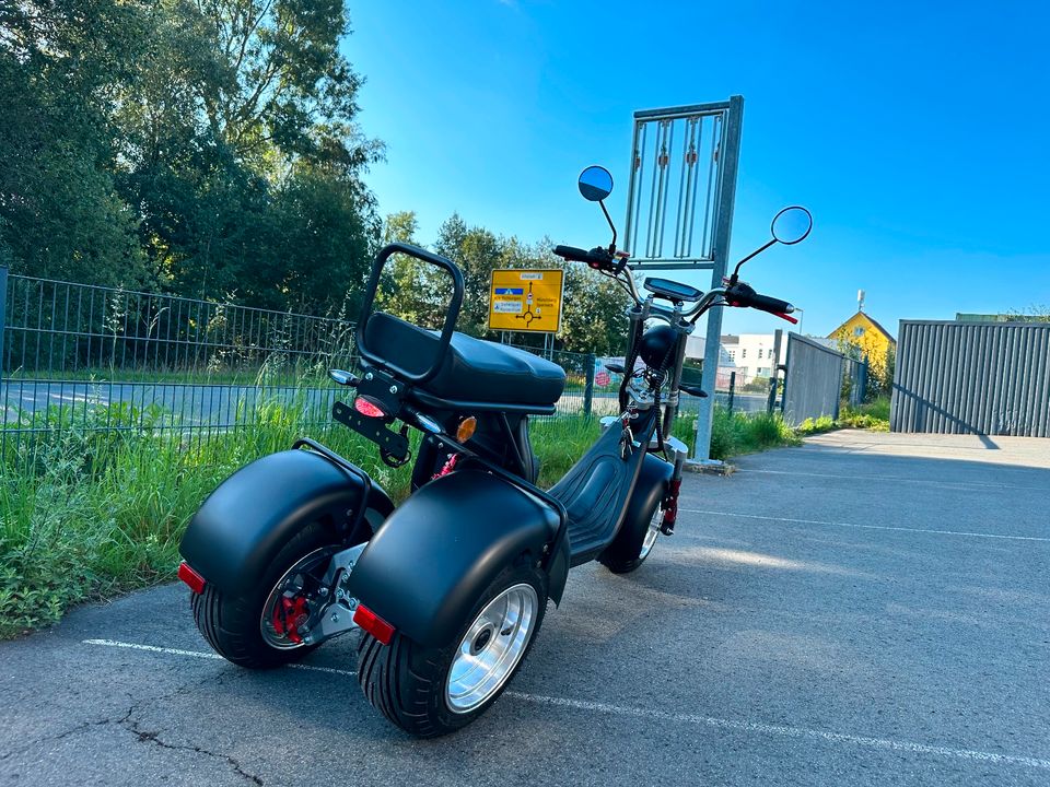 Elektro-Trike 45 km/h/4000W peak/bis 90 km/Neigetechnik in Weißenstadt