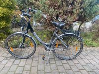 Damen Fahrrad Schleswig-Holstein - Windeby Vorschau