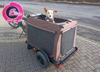 Fahrrad-Hundeanhänger Elina´s Fahrwerk 4-PT Liberty, Hundebox Rheinland-Pfalz - Kirchen (Sieg) Vorschau