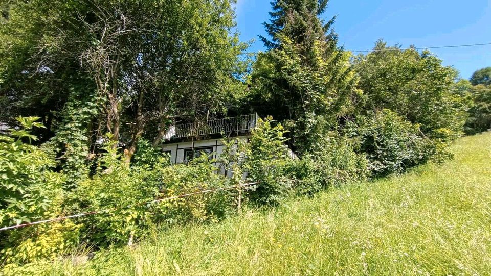 Grund mit Ruine in süd-österreich/Kärnten zu verkaufen in Hannover