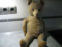 Alter Teddybär Bär von 1937 60 cm groß stark beschädigt Bayern - Weißenstadt Vorschau