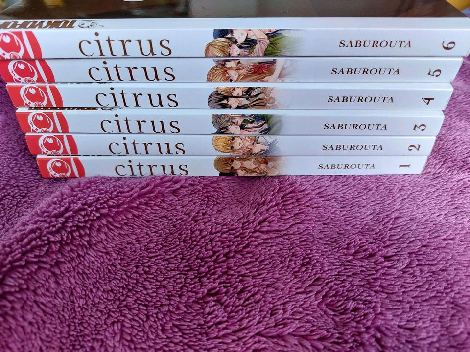 Citrus Manga in Stade