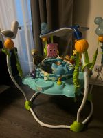 Bright Starts Jumperoo/Babyhopser Baden-Württemberg - Kornwestheim Vorschau