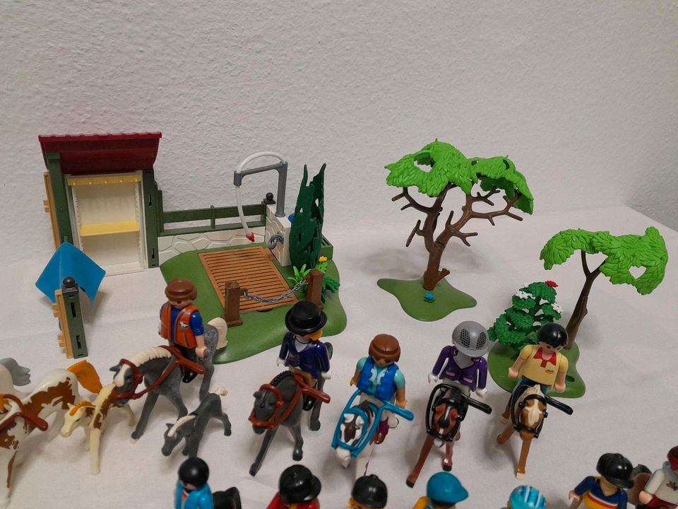 Playmobil Pferde, Reiter, Waschplatz und viel Zubehör in Oberursel (Taunus)