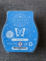 Duftwachs Scentsy Rheinland-Pfalz - Zell (Mosel) Vorschau