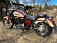 Honda Shadow VT 1100 C2 Brandenburg - Eichwalde Vorschau