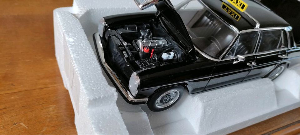 Mercedes Benz 1:18 in Damme