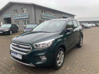 Ford Kuga 1.5 TDCi 2x4 Cool Niedersachsen - Cloppenburg Vorschau