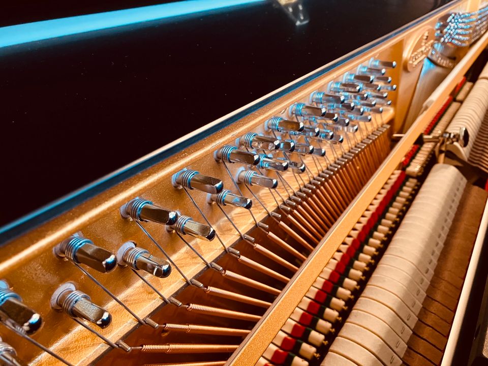 Schimmel F-121 Tradition • Klavier • 5 J. Garantie • Piano in Berlin