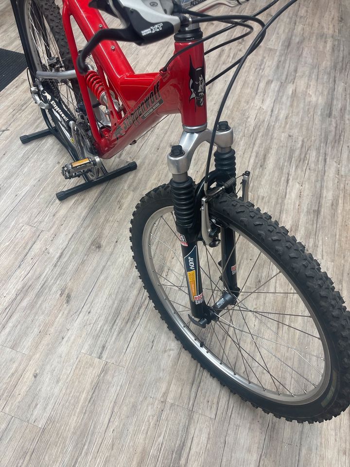 Steppenwolf Tycoon CT MTB Fully RH 53cm in Göppingen