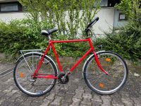 Fahrrad,Herrenfahrrad Baden-Württemberg - Hemmingen Vorschau