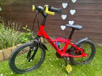 Fahrrad Kinderfahrrad 16 Zoll Nordrhein-Westfalen - Selm Vorschau