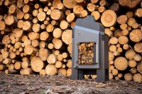 BJOERN Premium D-06 Holzofen Kaminofen Warmluftofen Sachsen-Anhalt - Stendal Vorschau