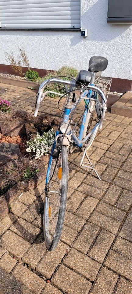 Luxus Markenrad Escorte Rennrad in Annweiler am Trifels