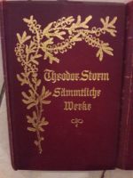 Bücher von Theodor Storm Sachsen-Anhalt - Peißen Vorschau