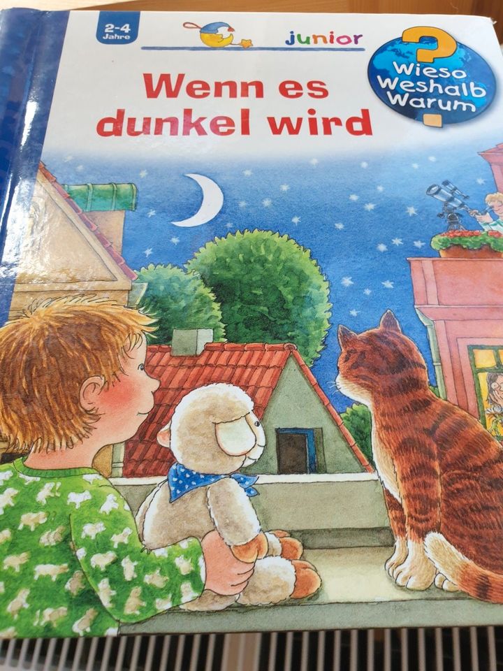 Kinderbücher gut erhalten in München