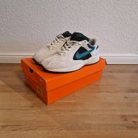 Nike Air Icarus 43 Vintage Huarache Air Max 93 95 180 Pegasus Sachsen-Anhalt - Magdeburg Vorschau