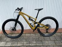 Specialized Stumpjumper Evo Comp Carbon 29 S3 Bayern - Dietfurt an der Altmühl Vorschau